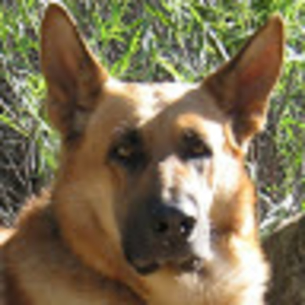 Meet your Posher, Trina